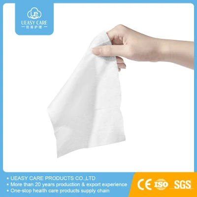 Wholesale Nonwoven Flushable Personal Care Wet Wipes Sanitizing Wet Wipe Hand Mouth Gym Lady Wet Wipes Alcohol Free FDA CE Approval Wet Wipes Facial Wet Wipes