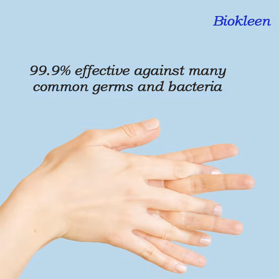 China Factory Wholesale Hand Washing Liquid Hand Sanitizer