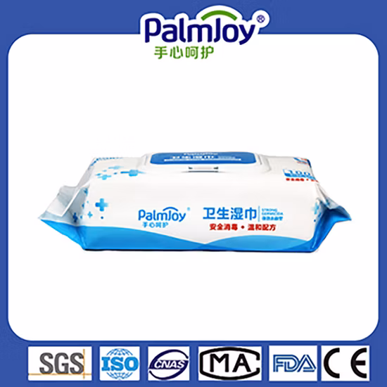 Top Quality Wholesale 100 Wipes Alcohol Free Disinfecting Wet Tissue for Family School Office